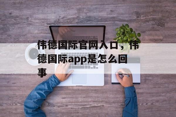 伟德国际官网入口，伟德国际app是怎么回事